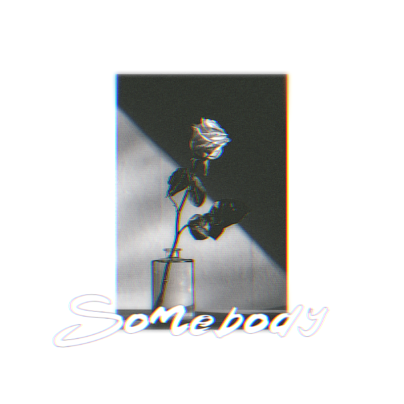A grainy, vertical, black-and-white close-up photo of a rose in a glass bottle. A dark shadow is cast on the wall behind the flower, splitting the background diagonally into dark and light parts. The title of the song/album 'Somebody' is written across the cover in thick letters using a hand-written font.